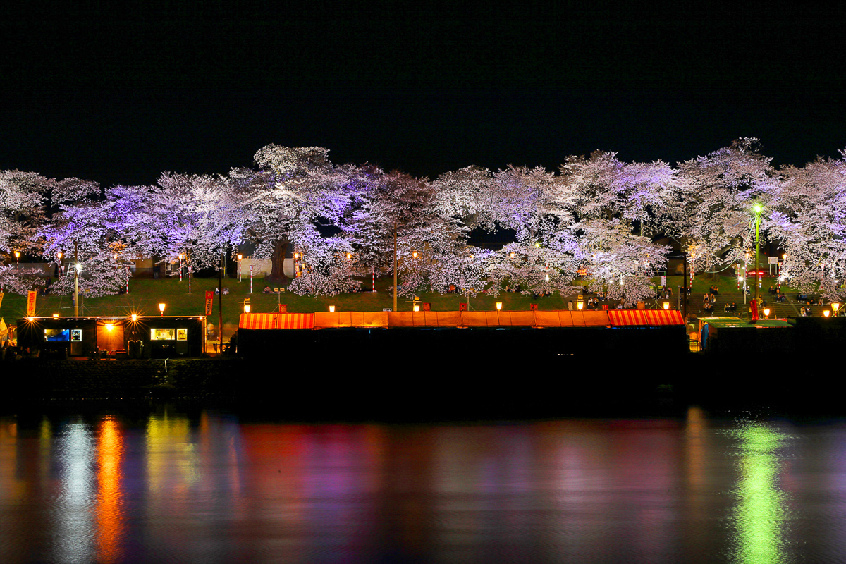 一目千本桜