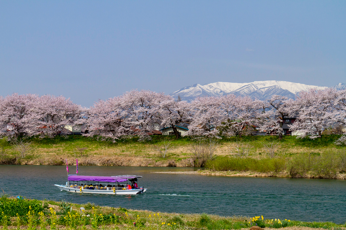 一目千本桜