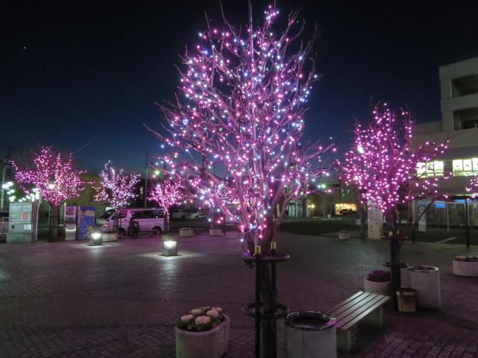 おばんなりスター大河原（駅前イルミネーション）の画像その2