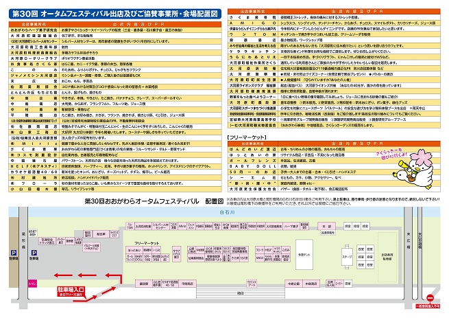 チラシ裏面