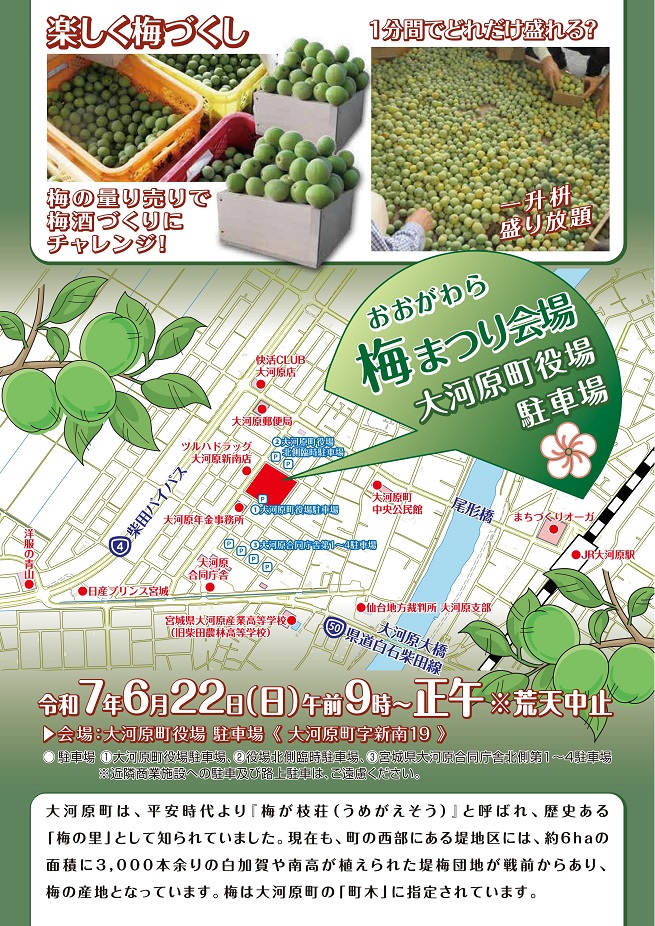 2025梅まつりチラシ裏面